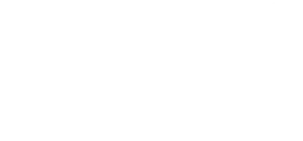 Animl Logo Animl logo in a flowing handwritten-style font.